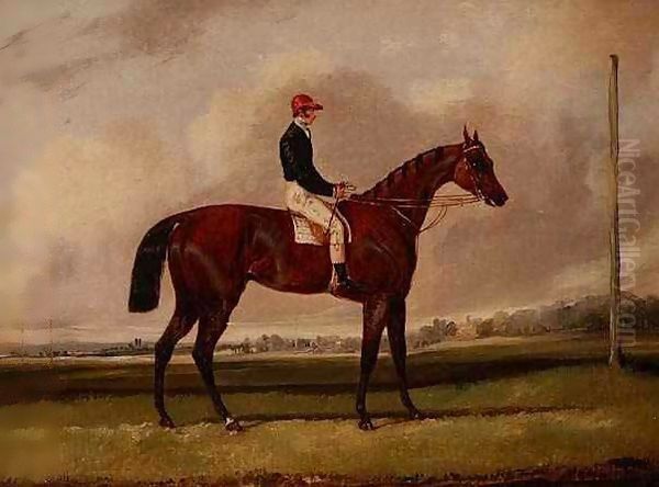 Bay Racehorse with a Jockey on a Racecourse Oil Painting by Henry Thomas Alken