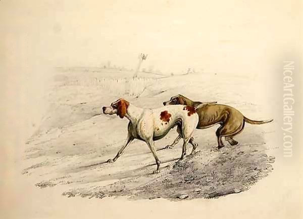 Two Pointers, facing left Oil Painting by Henry Thomas Alken