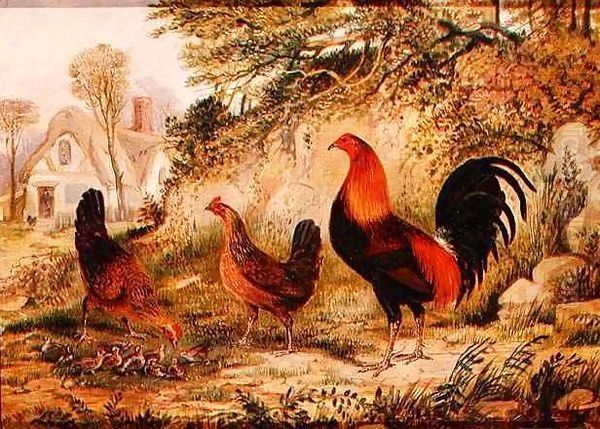 Cockerel, Hens and Chicks Oil Painting by Henry Thomas Alken