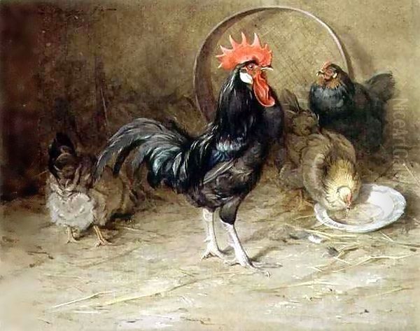 The Rooster Oil Painting by Edwin John Alexander