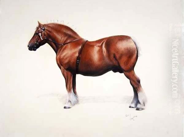 A champion Suffolk Punch Oil Painting by Cecil Charles Aldin