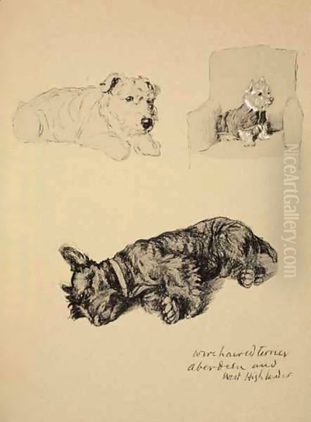 Wire-Haired Terrier, Aberdeen and West Highlander Oil Painting by Cecil Charles Aldin