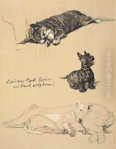 Aberdeens, Bull-Terrier and Irish Wolfhound Oil Painting by Cecil Charles Aldin