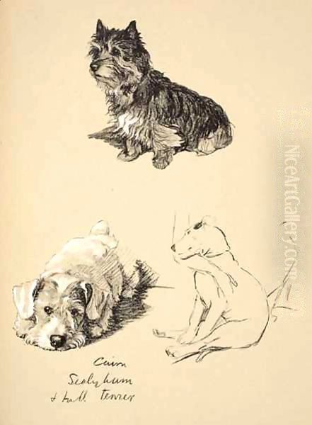 Cairn, Sealyham and Bull Terrier Oil Painting by Cecil Charles Aldin