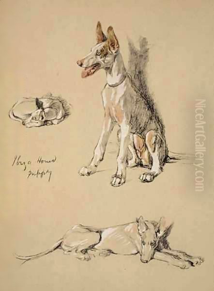 Ibiza Hound Puppy Oil Painting by Cecil Charles Aldin