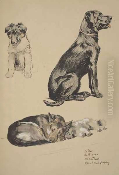 Collie, Retriever, Alstian and Keeshund Puppy Oil Painting by Cecil Charles Aldin