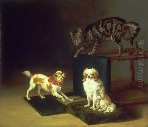 Cat Playing with Two Dogs Oil Painting by Paulus Potter