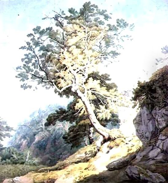 View near Canonteign, Devon Oil Painting by John White Abbott