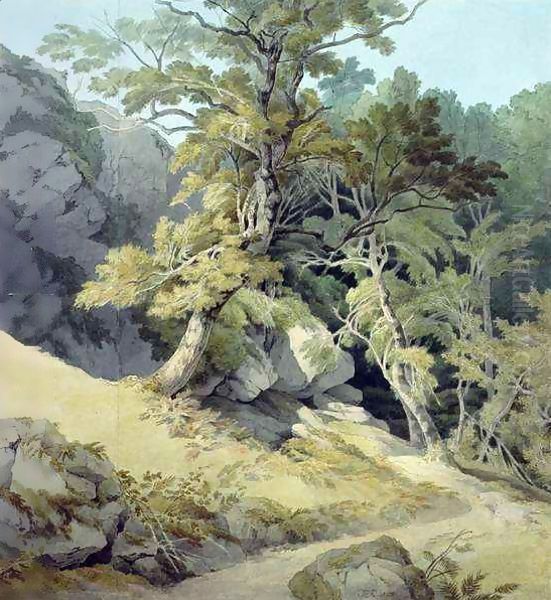 Canonteign, Devon 2 Oil Painting by John White Abbott