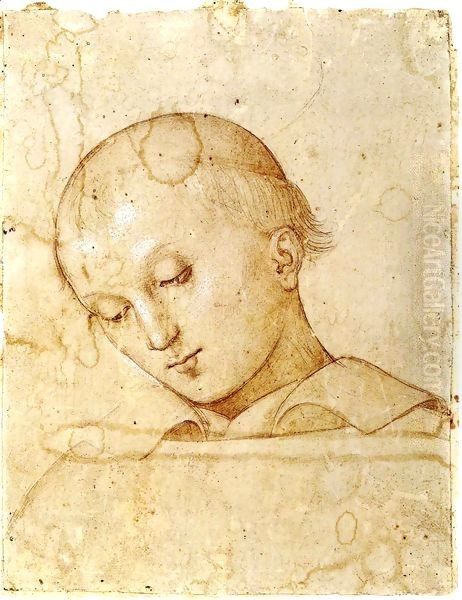 Head of Saint Lawrence Oil Painting by Pietro Vannucci Perugino