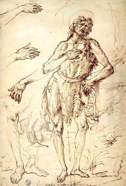 Studies of Saint John the Baptist, Hands and Feet Oil Painting by Antonio Del Pollaiuolo