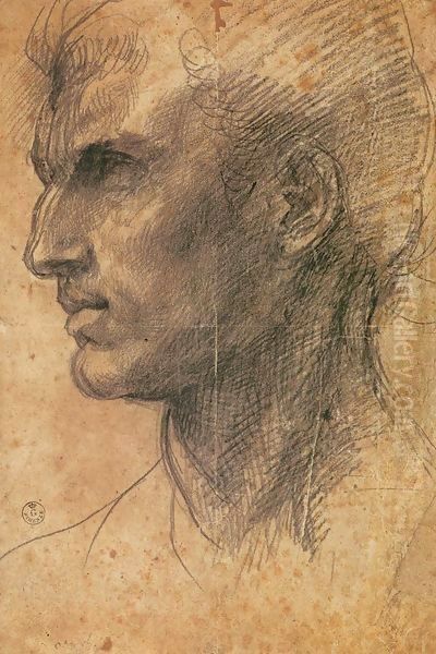 Head of a Man in Profile Facing Left Oil Painting by Andrea Del Sarto