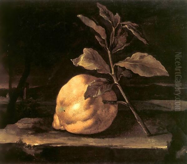 Large Citron in a Landscape Oil Painting by Bartolommeo Bimbi