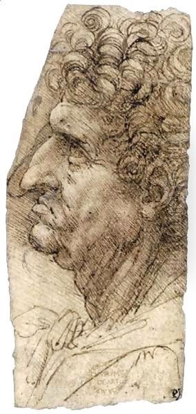 Head of a Man Facing to the Left Oil Painting by Leonardo Da Vinci