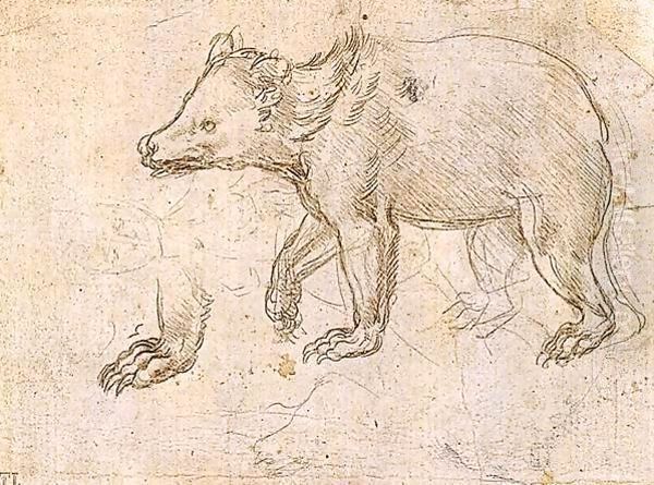 Studies of a Bear Walking Oil Painting by Leonardo Da Vinci