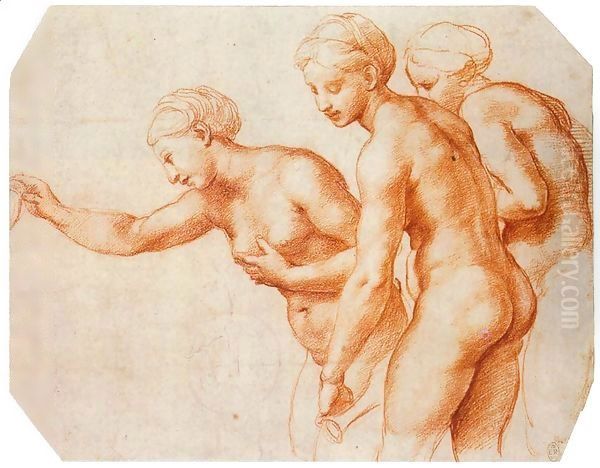 Study for the Three Graces Oil Painting by Raphael