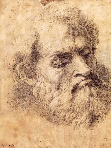 Study of the Head of an Apostle Oil Painting by Raphael