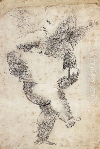 Winged Putto with Cartello Oil Painting by Raphael