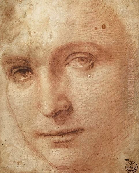 Head of a Youth Oil Painting by Raphael