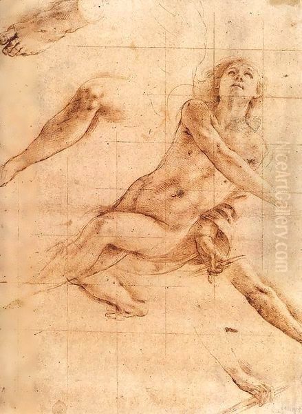 Study for an Angel Oil Painting by Tanzio da Varallo