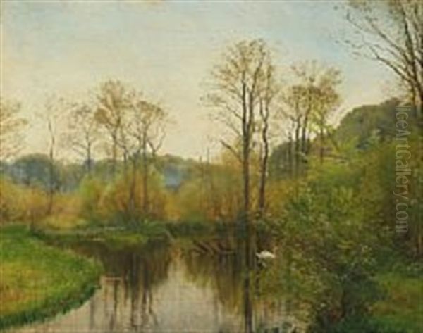 Forest Lake With Floating Swan A Beautiful Spring Day Oil Painting by Carl Frederik Peder Aagaard