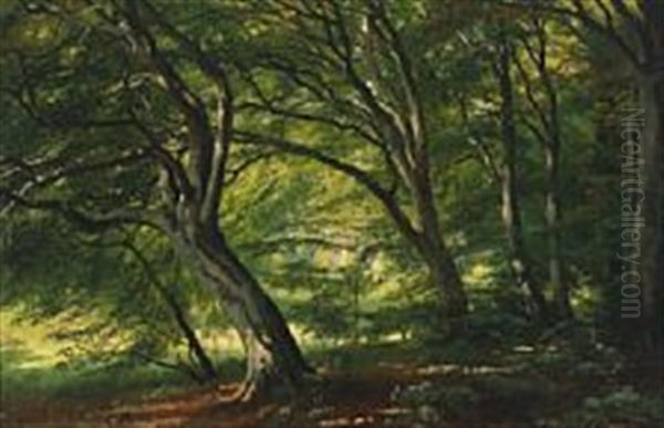 Forest Scenery, Ordrup Krat Oil Painting by Carl Frederik Peder Aagaard