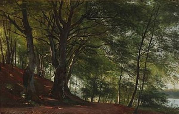 Forest Scene From Soro, Denmark Oil Painting by Carl Frederik Peder Aagaard