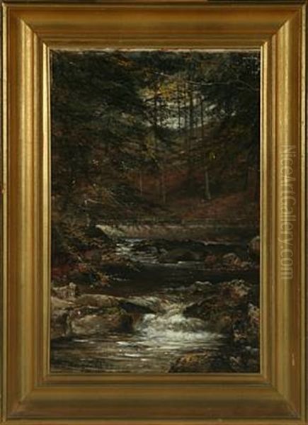 Forest Scenery With A Stream Oil Painting by Carl Frederik Peder Aagaard