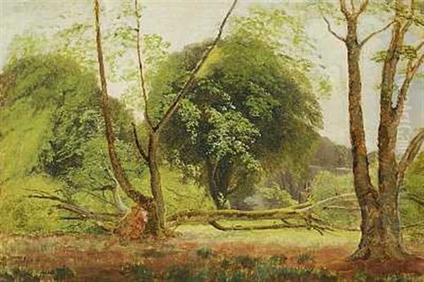 Vaeltede Traeer I Skoven Oil Painting by Carl Frederik Peder Aagaard