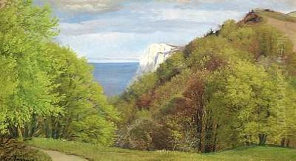 Parti Fra Moens Klint Oil Painting by Carl Frederik Peder Aagaard