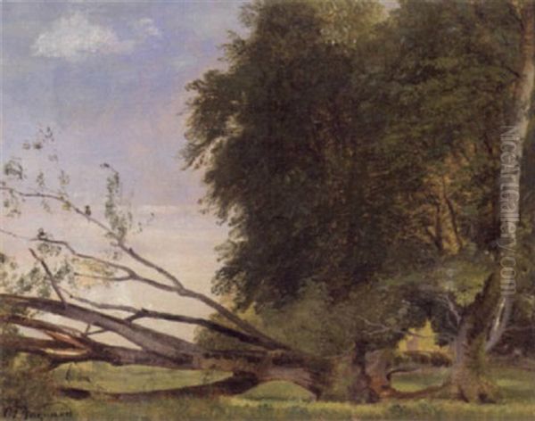 Et Vaeltet Trae I Udkanten Af En Skov Oil Painting by Carl Frederik Peder Aagaard