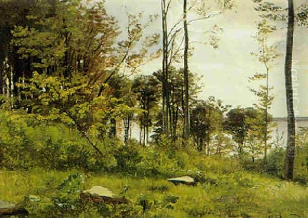 Skovlysning Ved En So Oil Painting by Carl Frederik Peder Aagaard