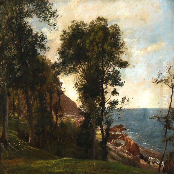 Summer Day At A Coast Oil Painting by Carl Frederick Aagaard