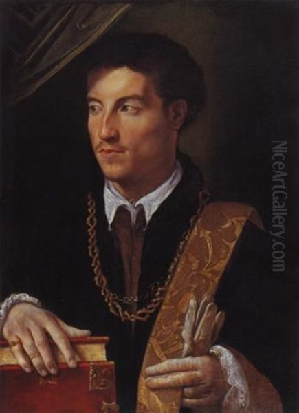 Ritratto Di Gentiluomo Oil Painting by Nicolo dell' Abbate