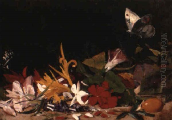 Bunte Bluten Auf Waldboden Mit Schmetterling Oil Painting by Salvador Abril y Blasco