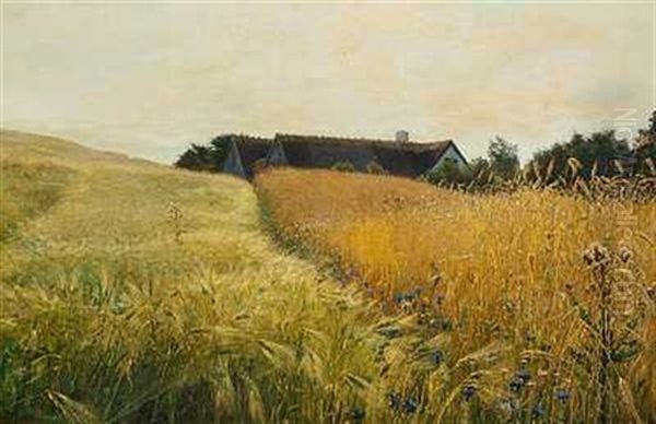 Sommerlandskab Med Strataekt Gard Omgivet Af Gyldne Kornmarker Oil Painting by Georg Nicolaj Achen