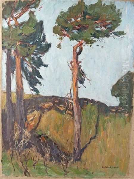 Sunlit Pines Oil Painting by Otto Ackermann