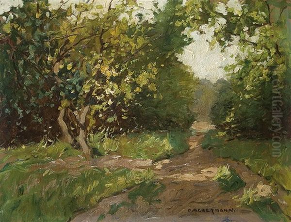 Sunlit Path Through A Bank by Otto Ackermann