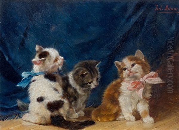 Drei Junge Katzen, Zwei Davon Mit Schleifen Oil Painting by Julius Adam the Younger