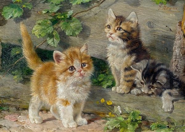 Drei Junge Katzen Oil Painting by Julius Adam the Younger