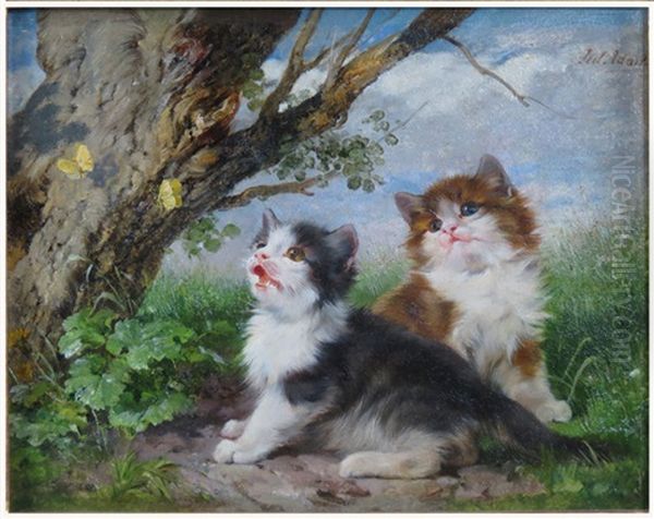 Two Kittens Watching Butterflies Oil Painting by Julius Adam the Younger