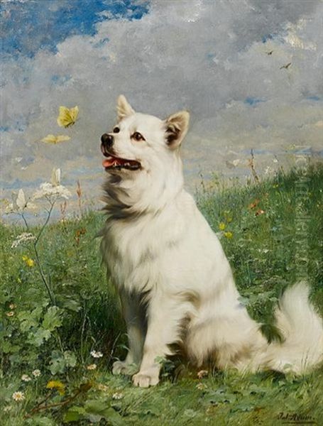 Portrait Of A German Spitz Oil Painting by Julius Adam the Younger