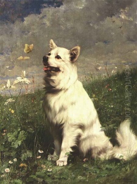 Spitz Oil Painting by Julius Adam the Younger