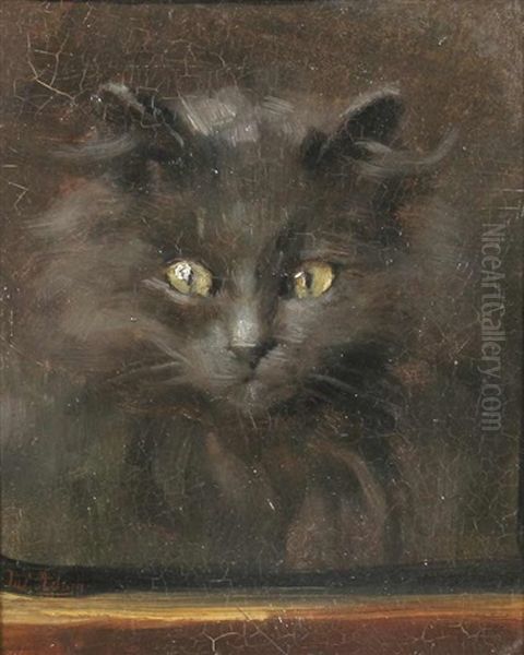 Kopf Einer Schwarzen Perserkatze Oil Painting by Julius Adam the Younger