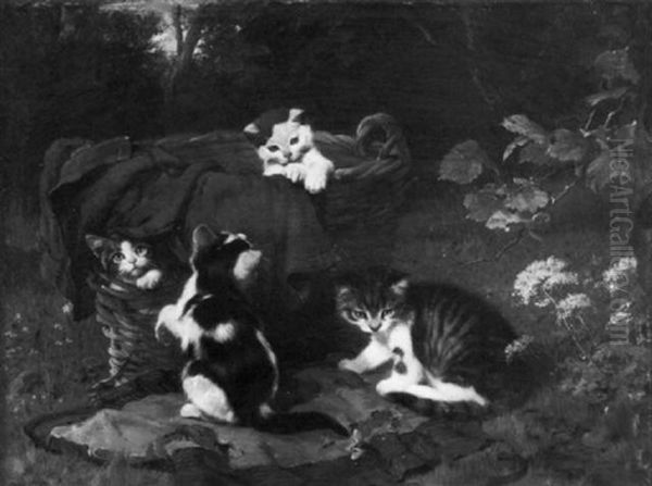 Playful Kittens Oil Painting by Julius Adam the Younger