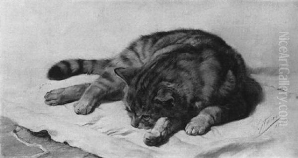 Schlafende Katze Oil Painting by Julius Adam the Younger