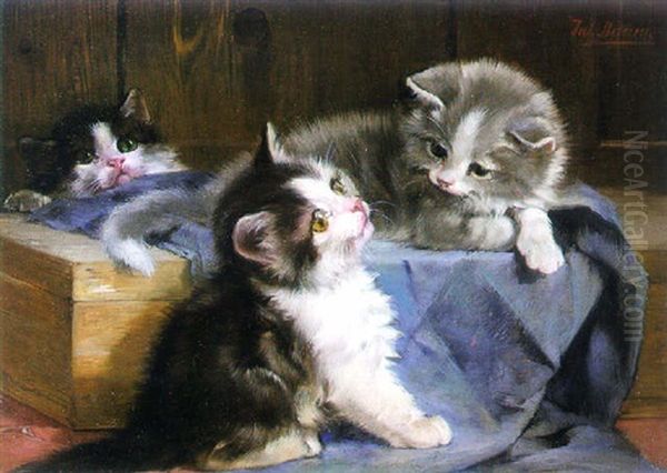 Kittens At Play Oil Painting by Julius Adam the Younger