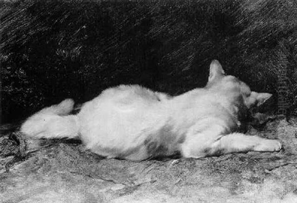 Liegende Katze, Auf Eine Maus Lauernd Oil Painting by Julius Adam the Younger