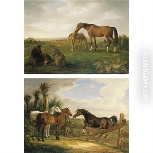 Vollbluter Mit Fohlen Und Auf Der Koppel (thoroughbreds With Their Foals And In A Paddock) (a Pair) Oil Painting by Albrecht Adam