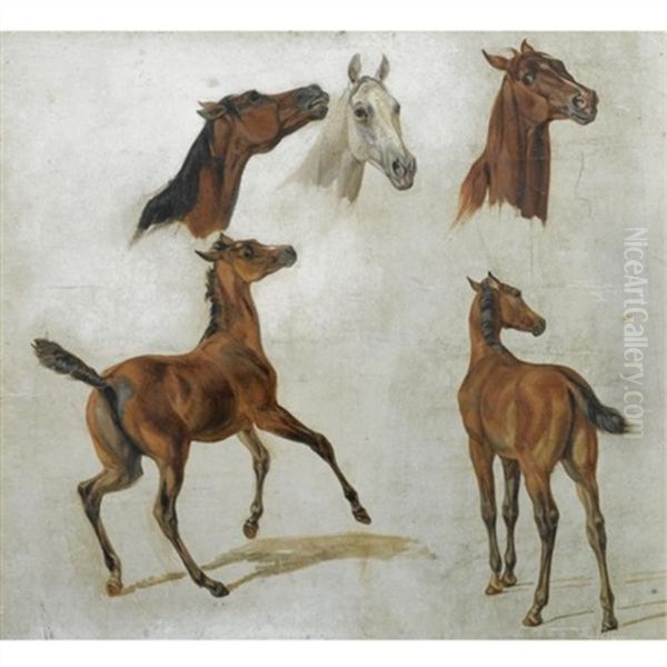 Pferdestudien (horse Studies) Oil Painting by Albrecht Adam